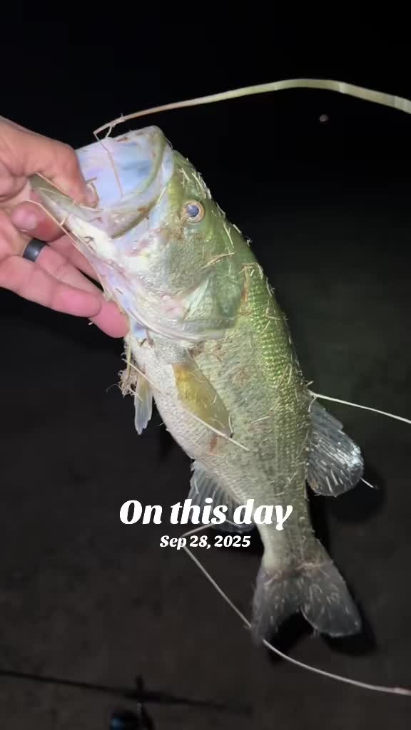@Oilfield Angler Fishing