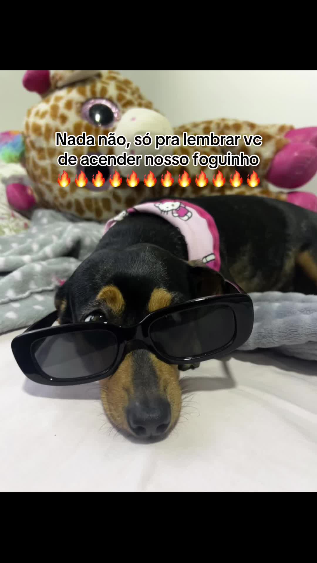 @Belle