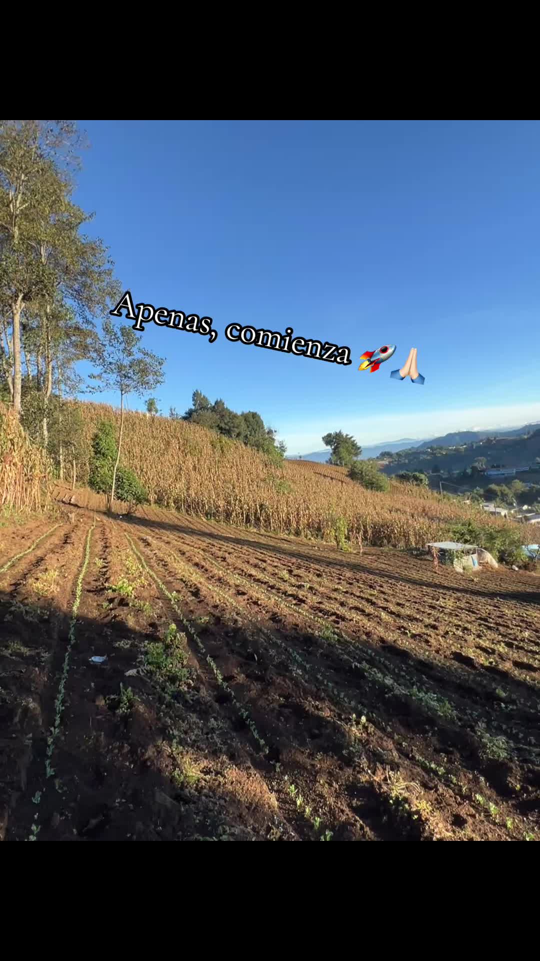 @Victor🌱🚜