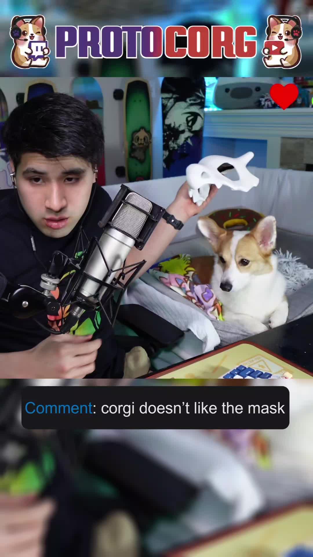 @Protocorg | Twitch Streamer