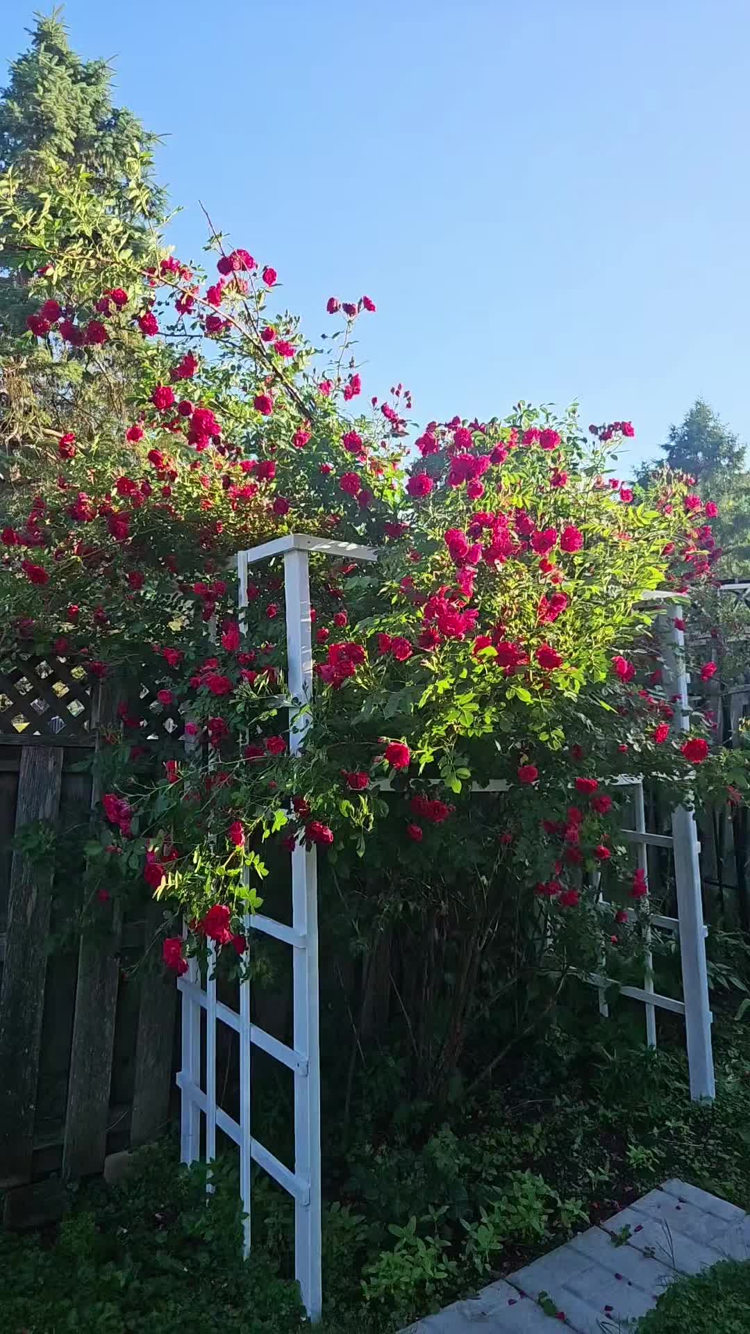 @ꪜꪖꪶꫀ𝘳𝓲ꫀ 🎀