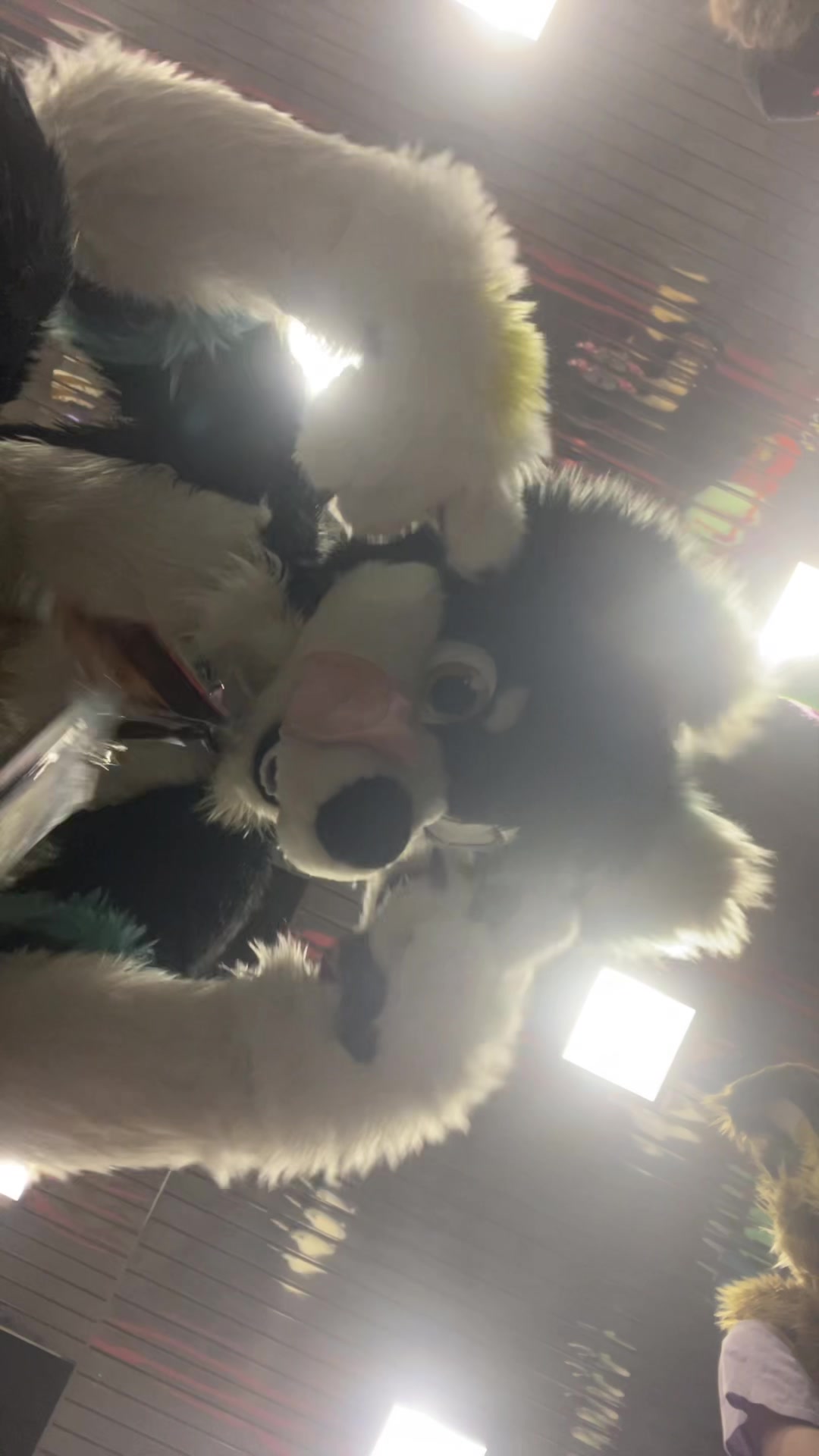 @⭐️KiwiFurSure⭐️
