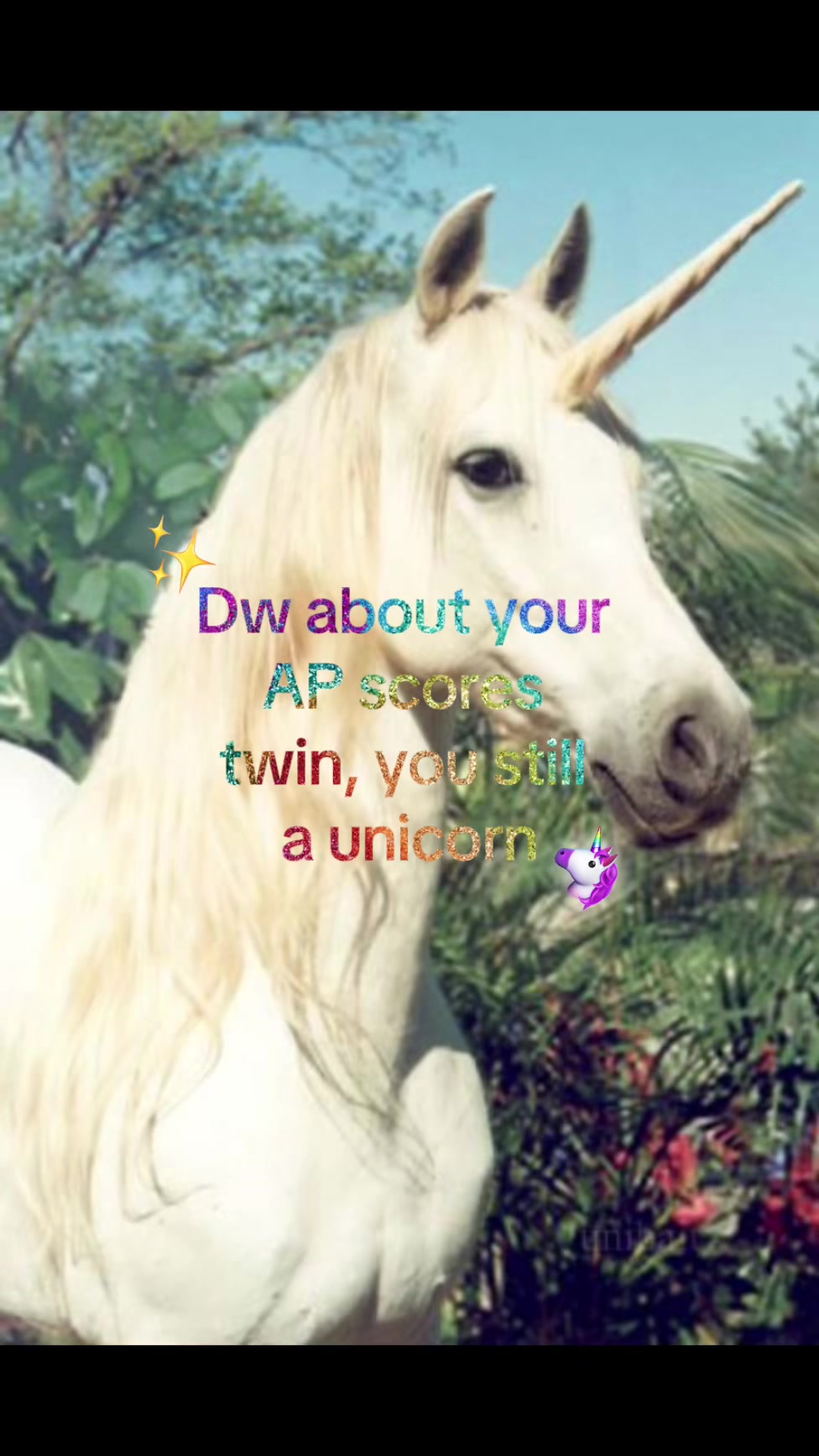 @𓆞 Kayley 𓆝