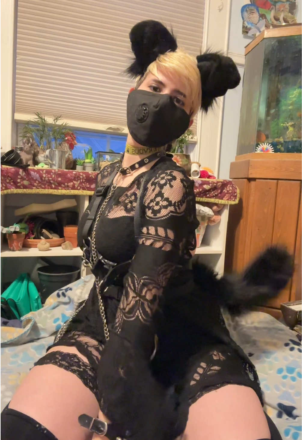 @💫Guinevere/Mutt🐾