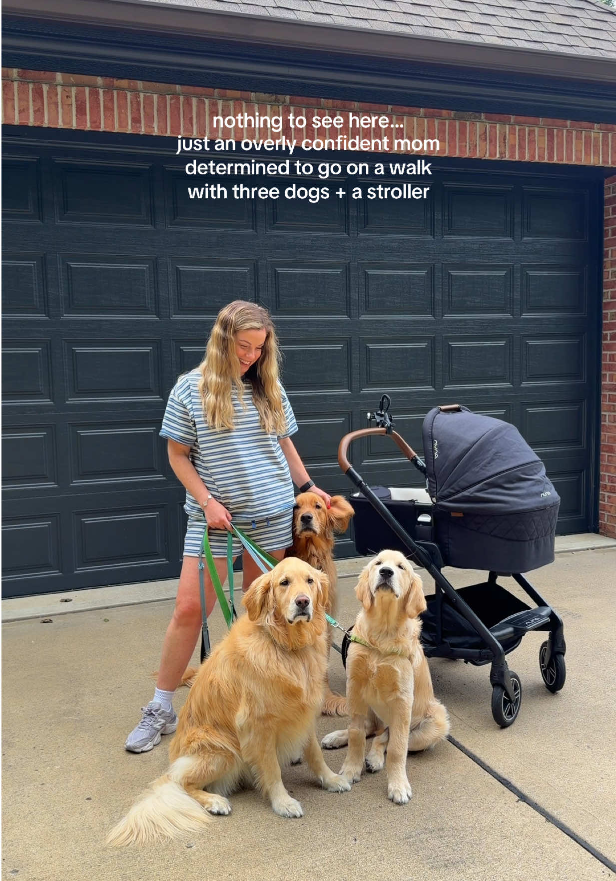 @agoldendogmom