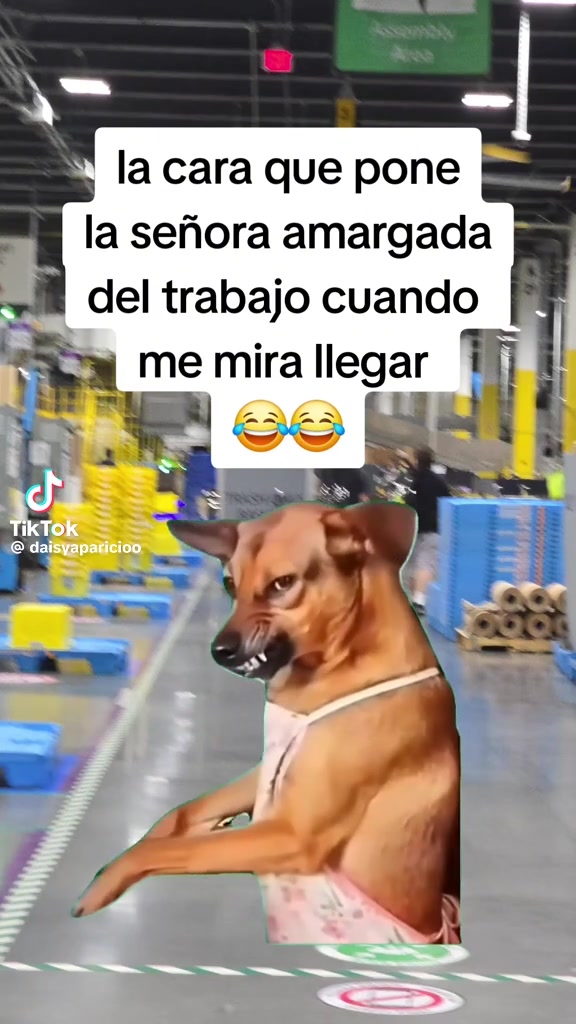 @johannagonzalez595