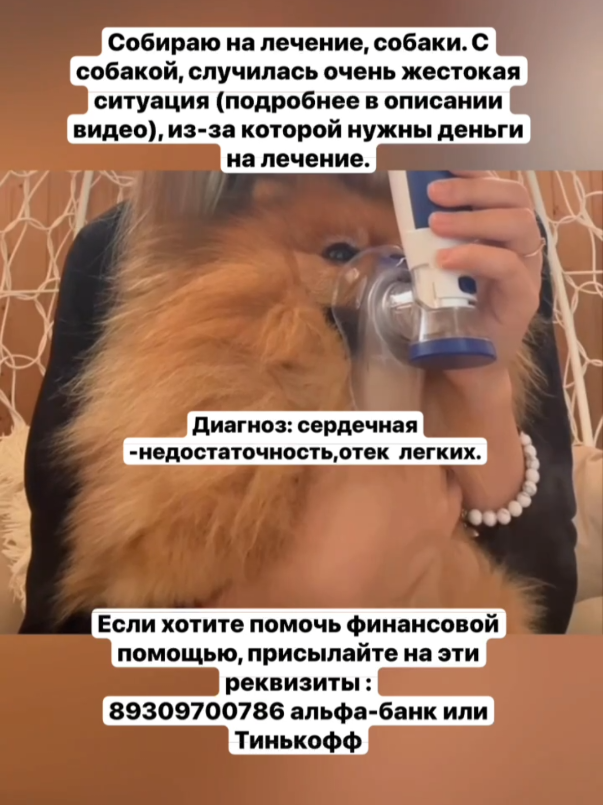@Футажи M