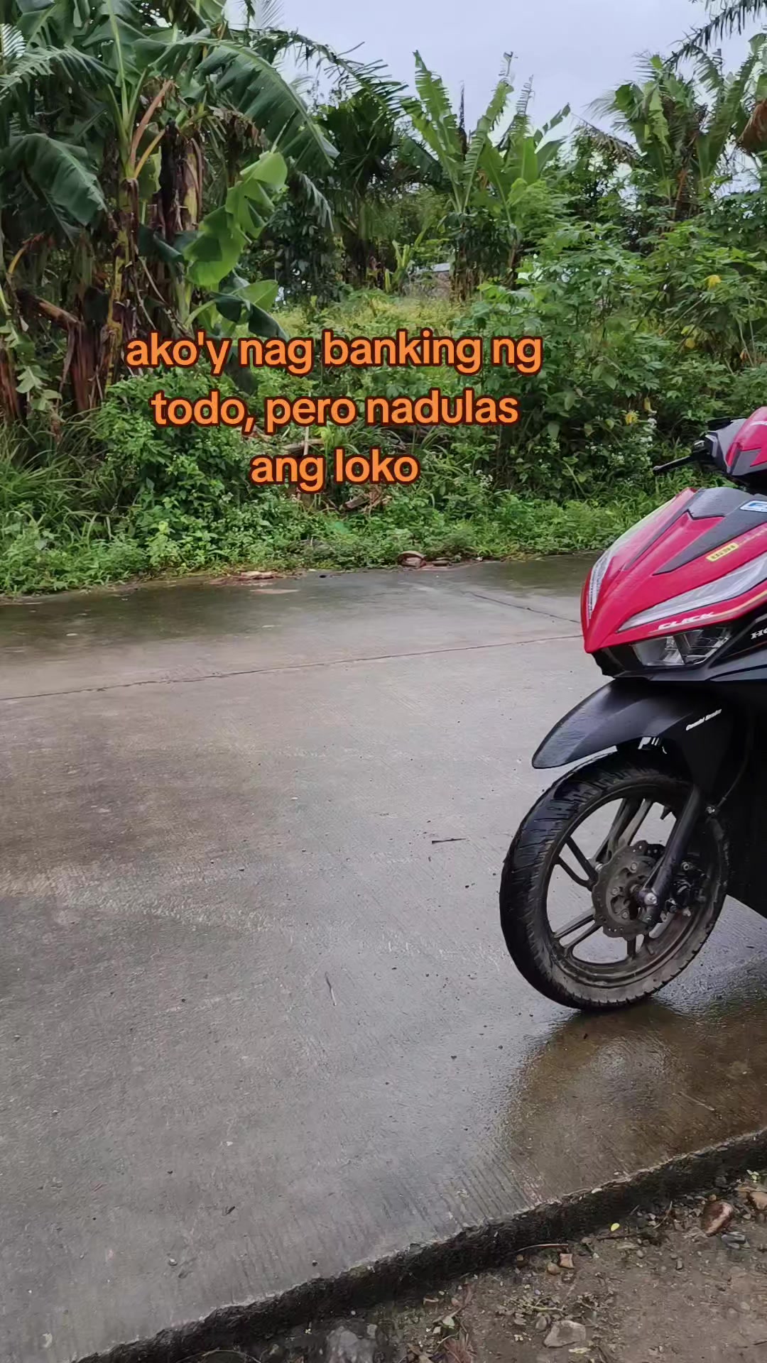 @Rameses
