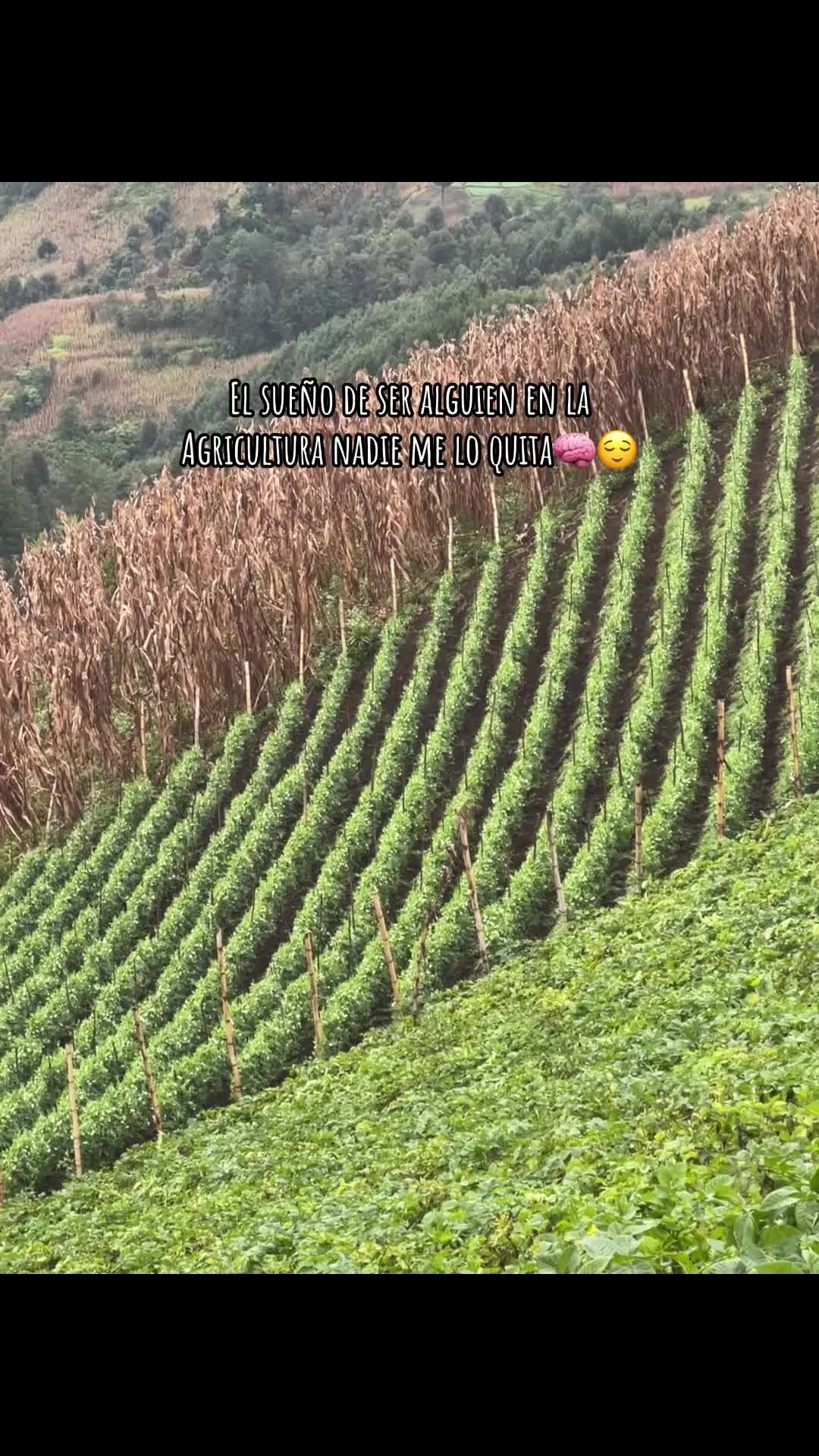 @Victor🌱🚜