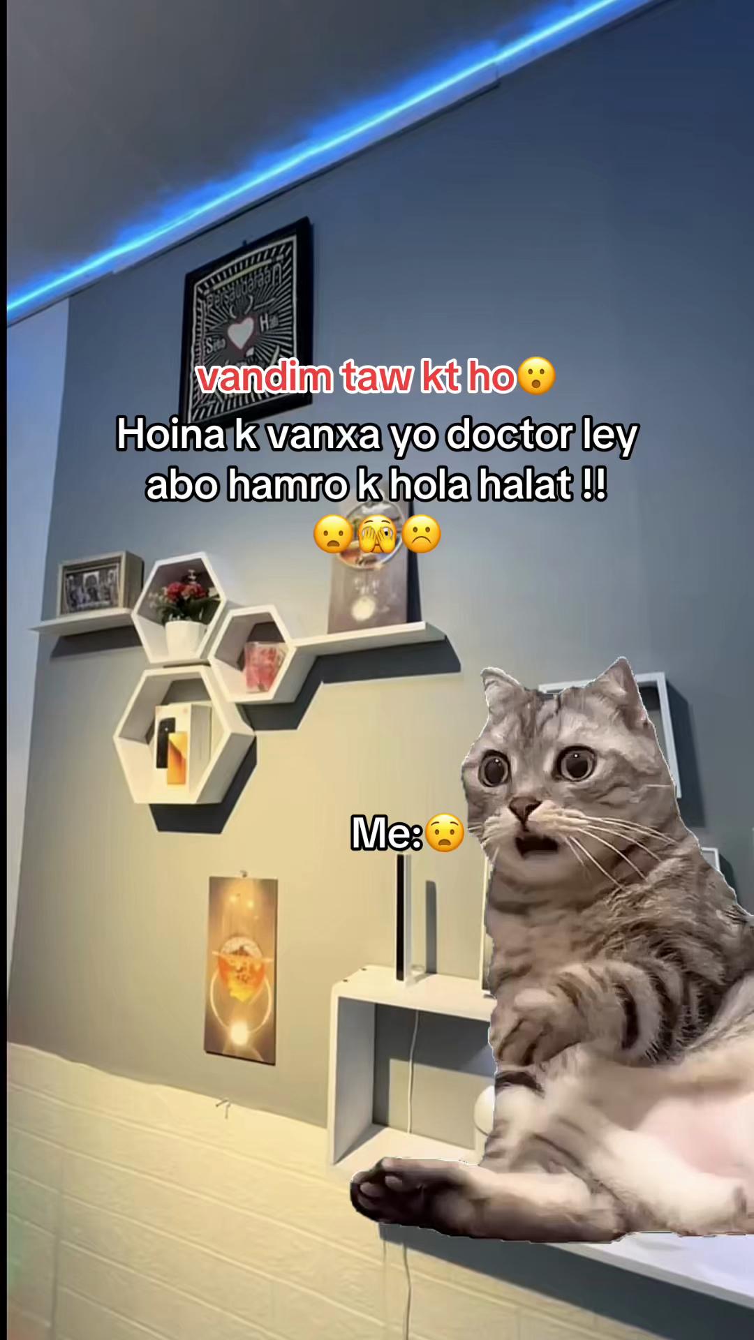 @अनिल तामाङ 🇦🇪🫧