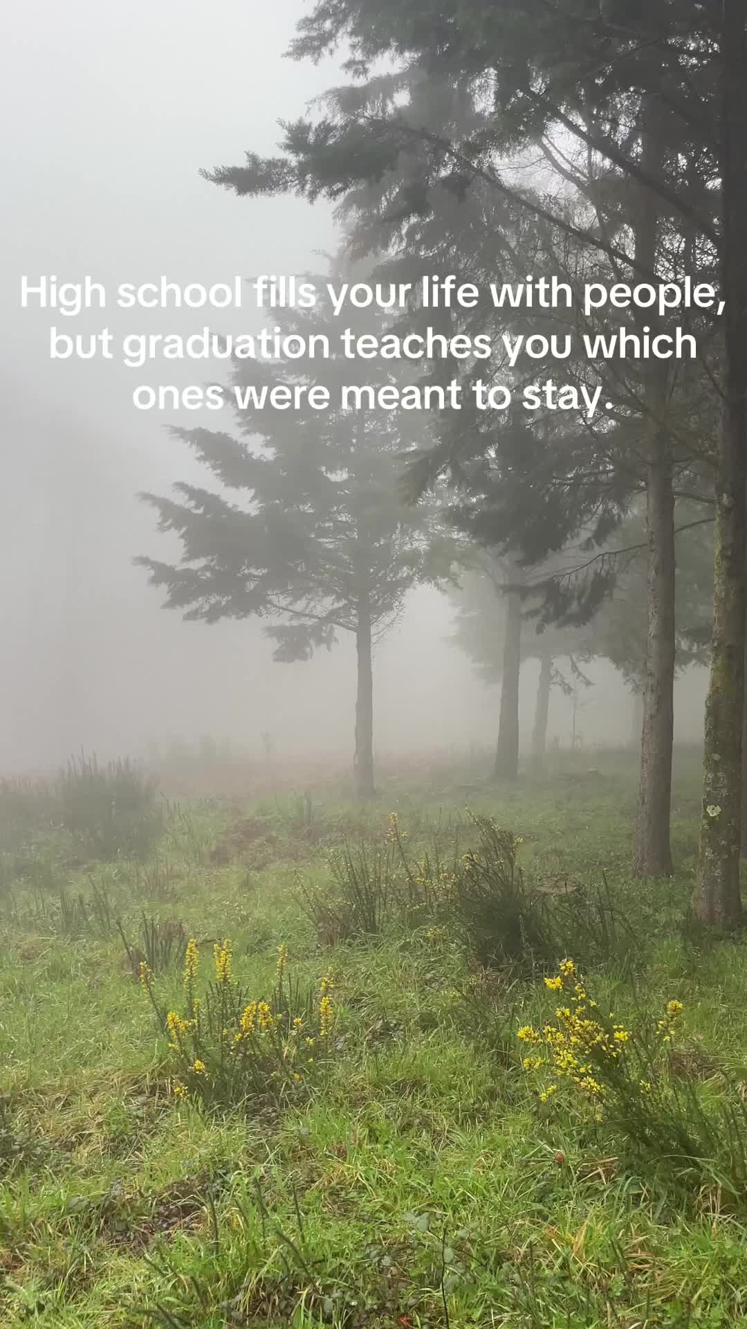 @Real Talk