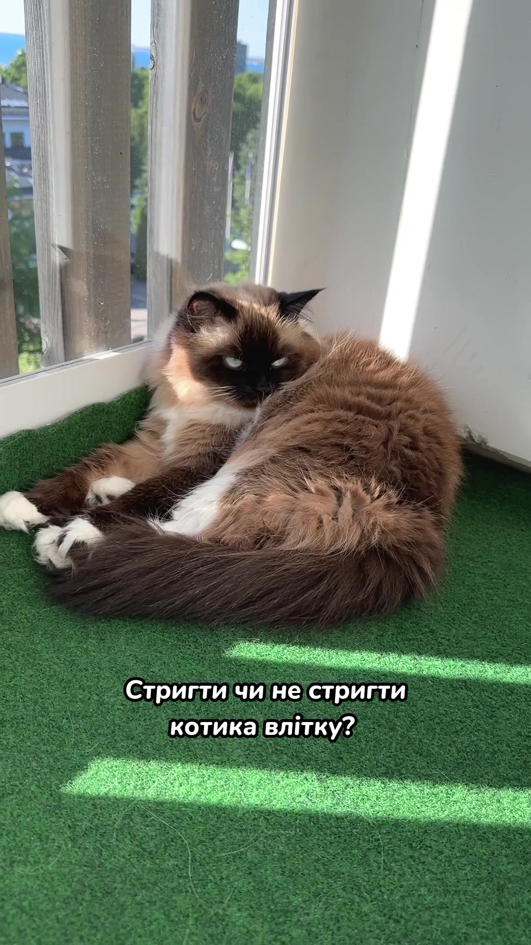 @Місс КІСЯ