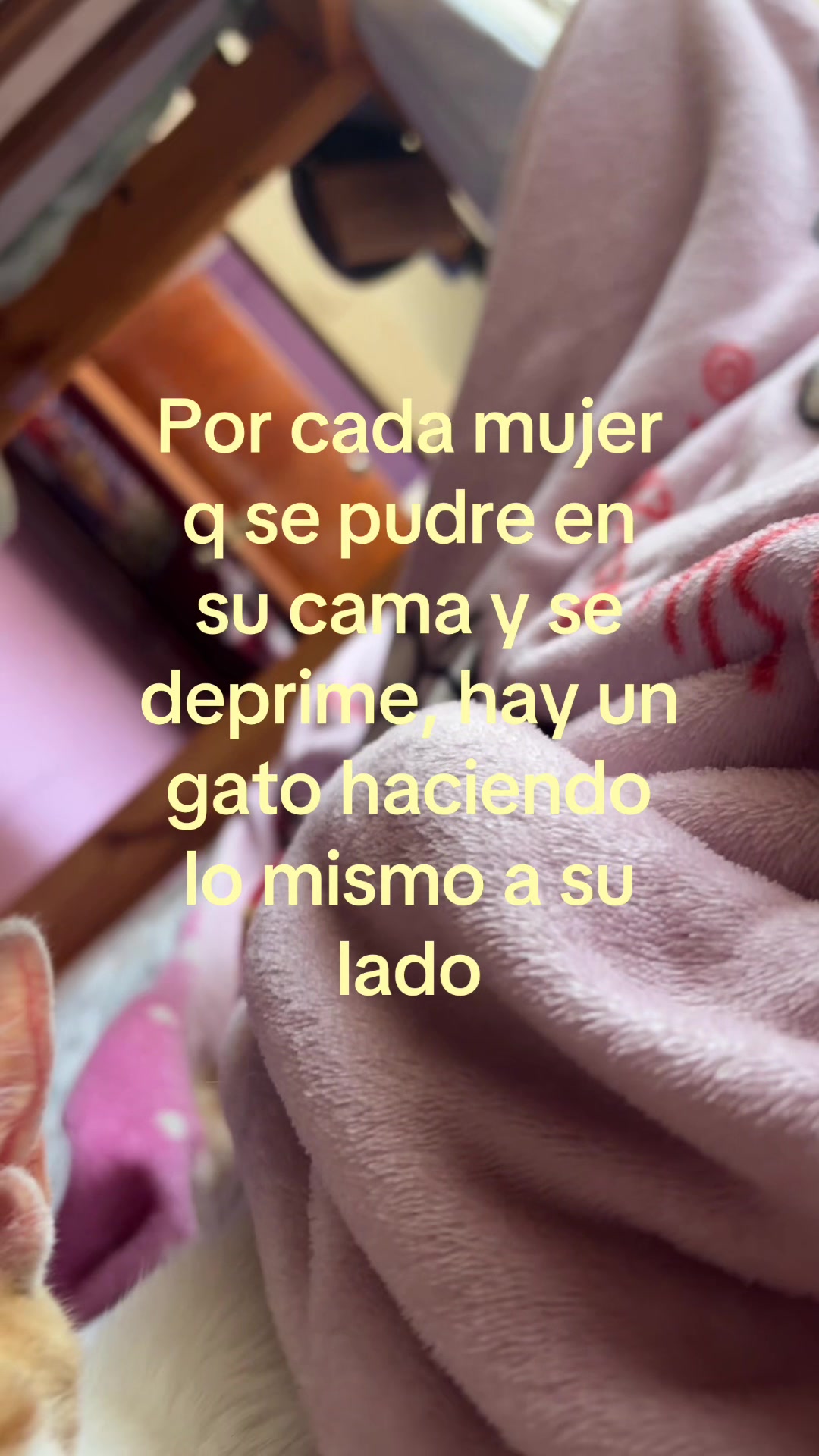 @Xiom Vargas🪽