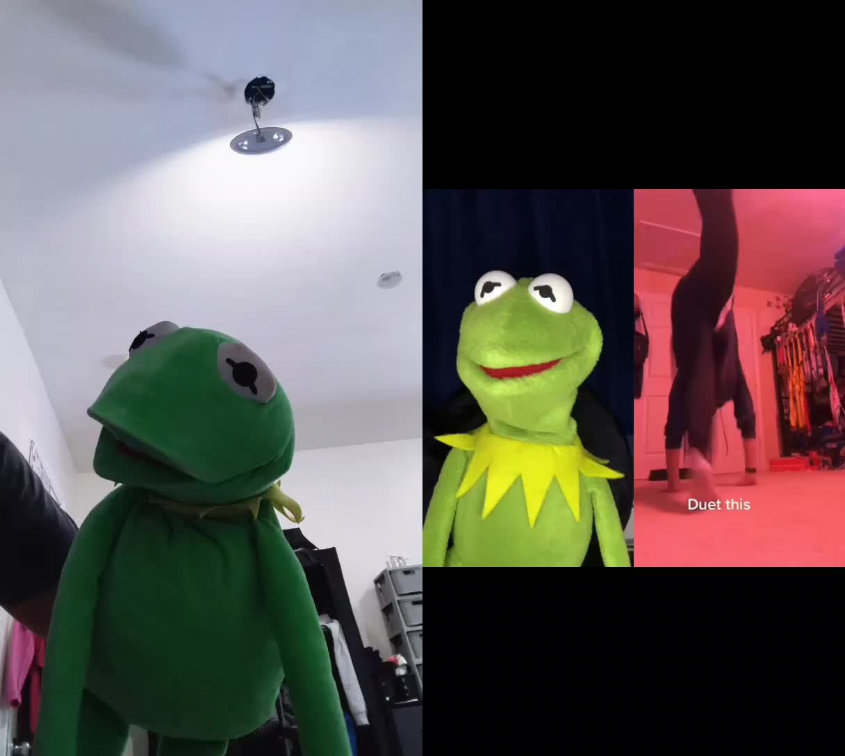 @Kermit And Friends 2026