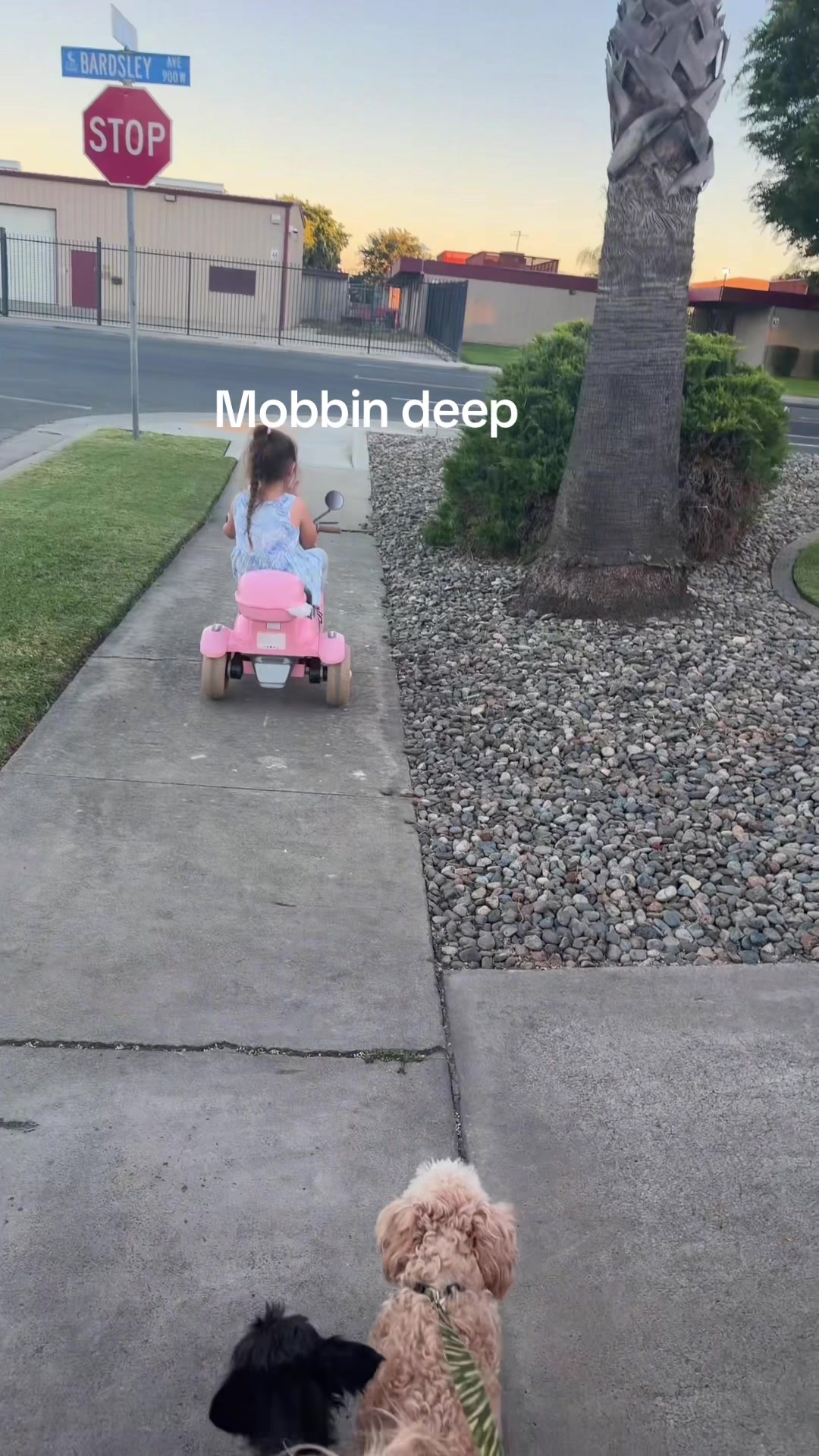 @Vanessa Flores