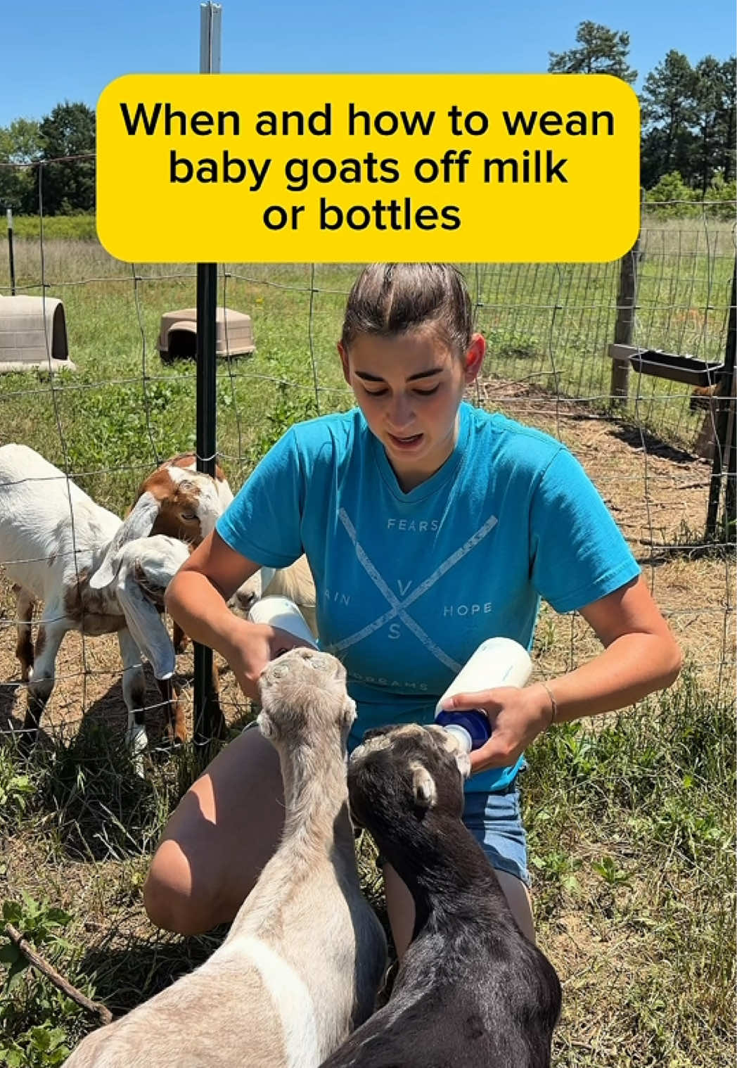@Heart & Hoof Homestead