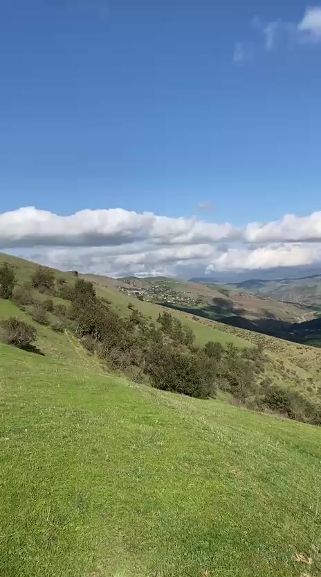 @💥Talış💥🖤