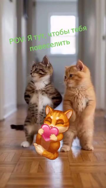 @🌹🌹🌹 Людмила 🌹🌹