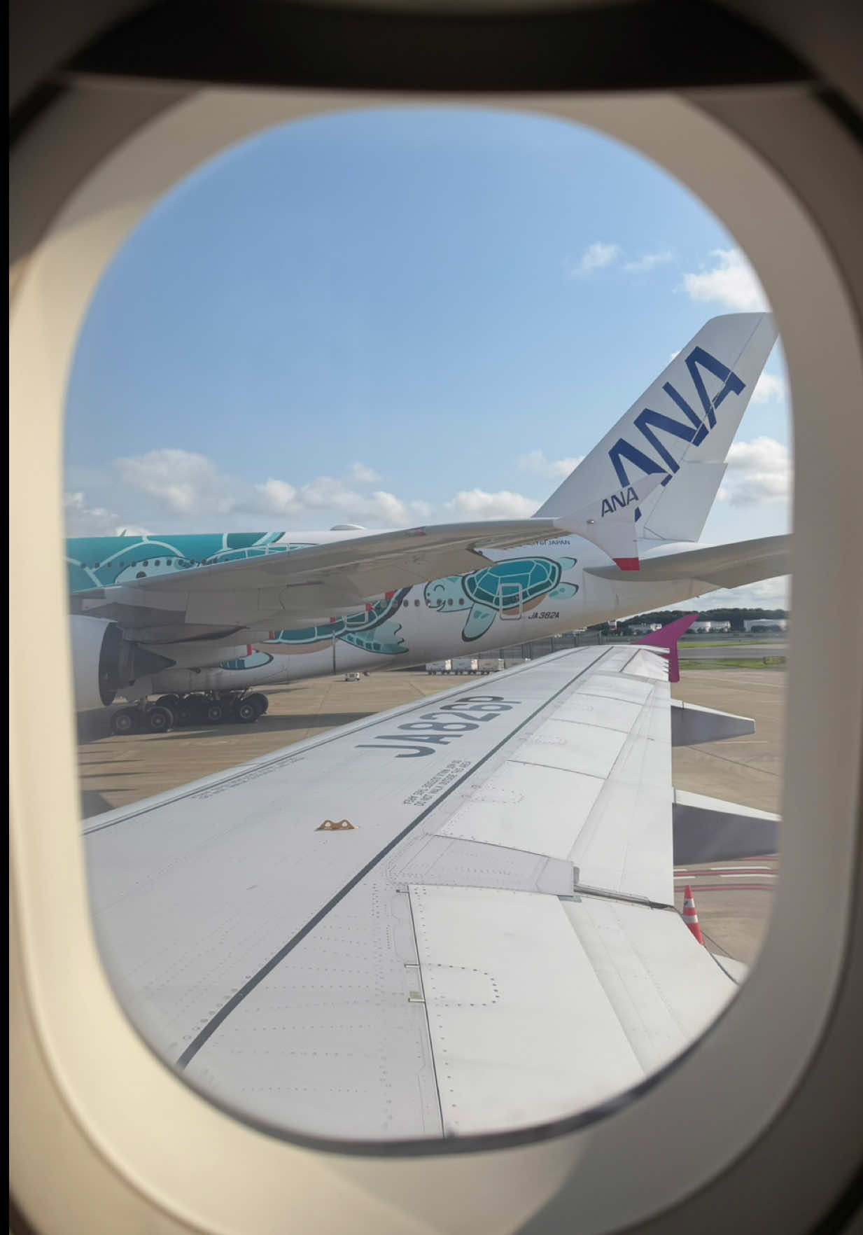 @Оля в кругосветке🌍✈️