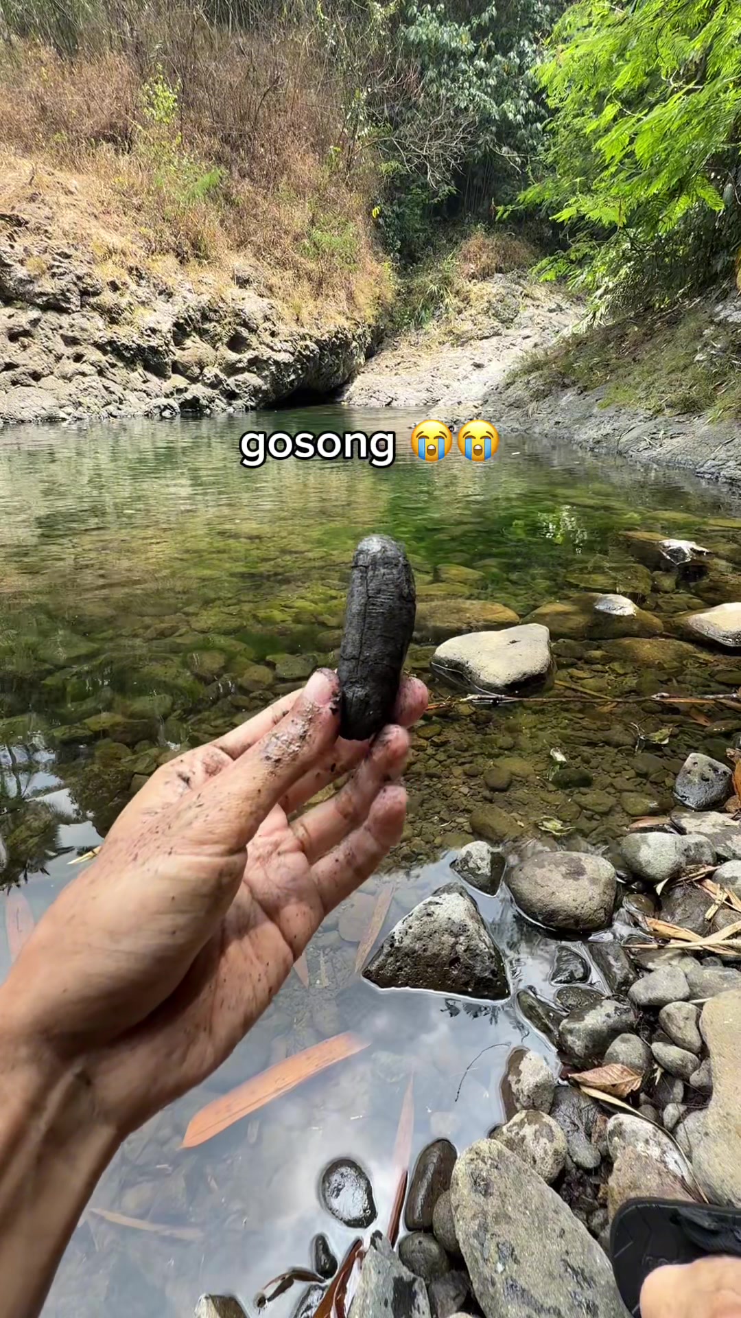 @Purbalingga