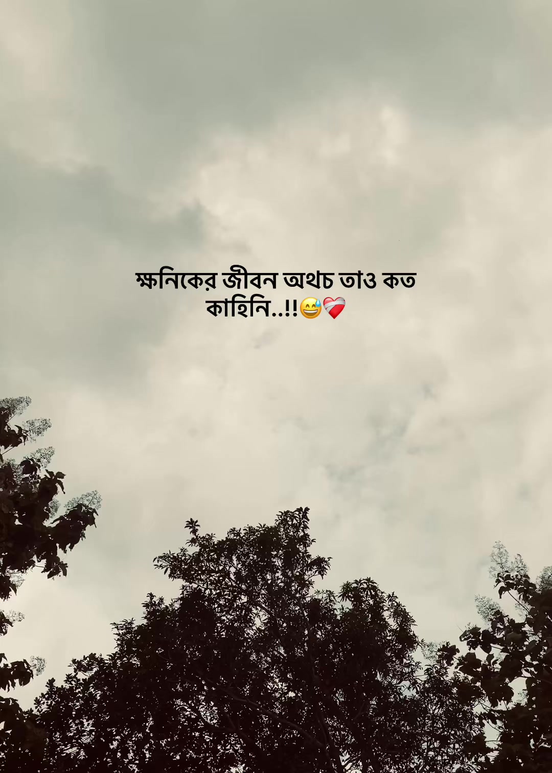 @✪ヅʜɴ᭄ ʜᴀꜰɪᴢᴜʟ..!! 🥀🔥