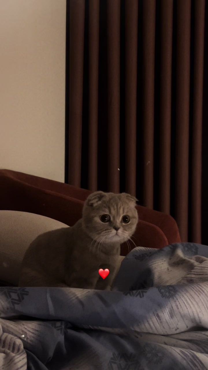 @privvvrr0