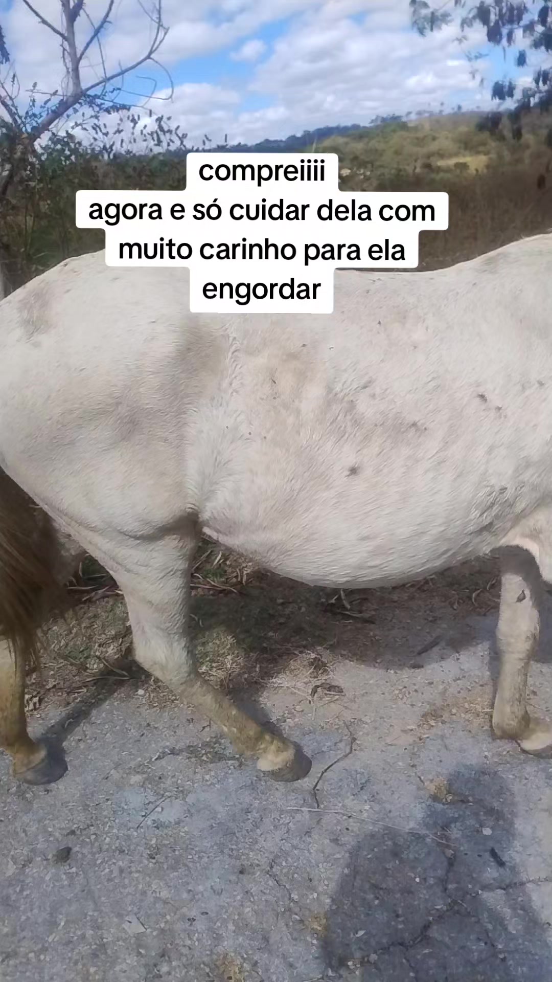 @KRN__