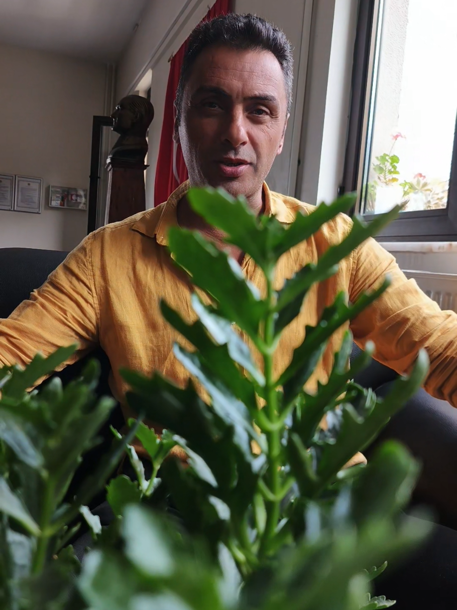 @YAŞAR MİRZALLI
