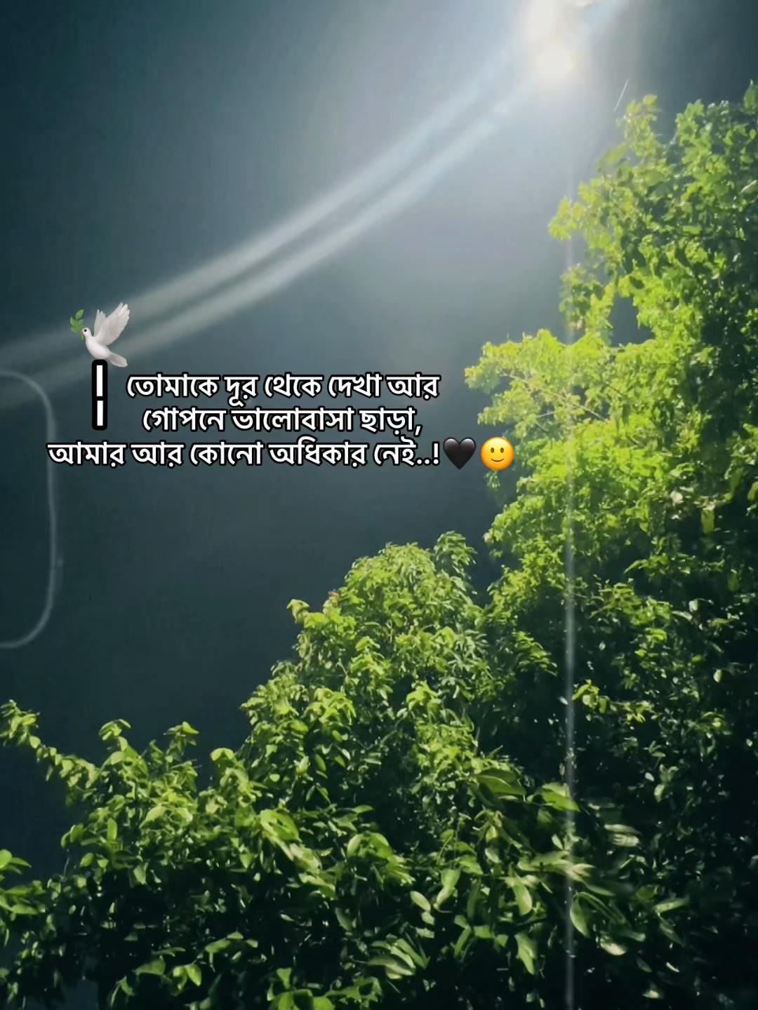 @✪ヅʜɴ᭄ ʜᴀꜰɪᴢᴜʟ..!! 🥀🔥
