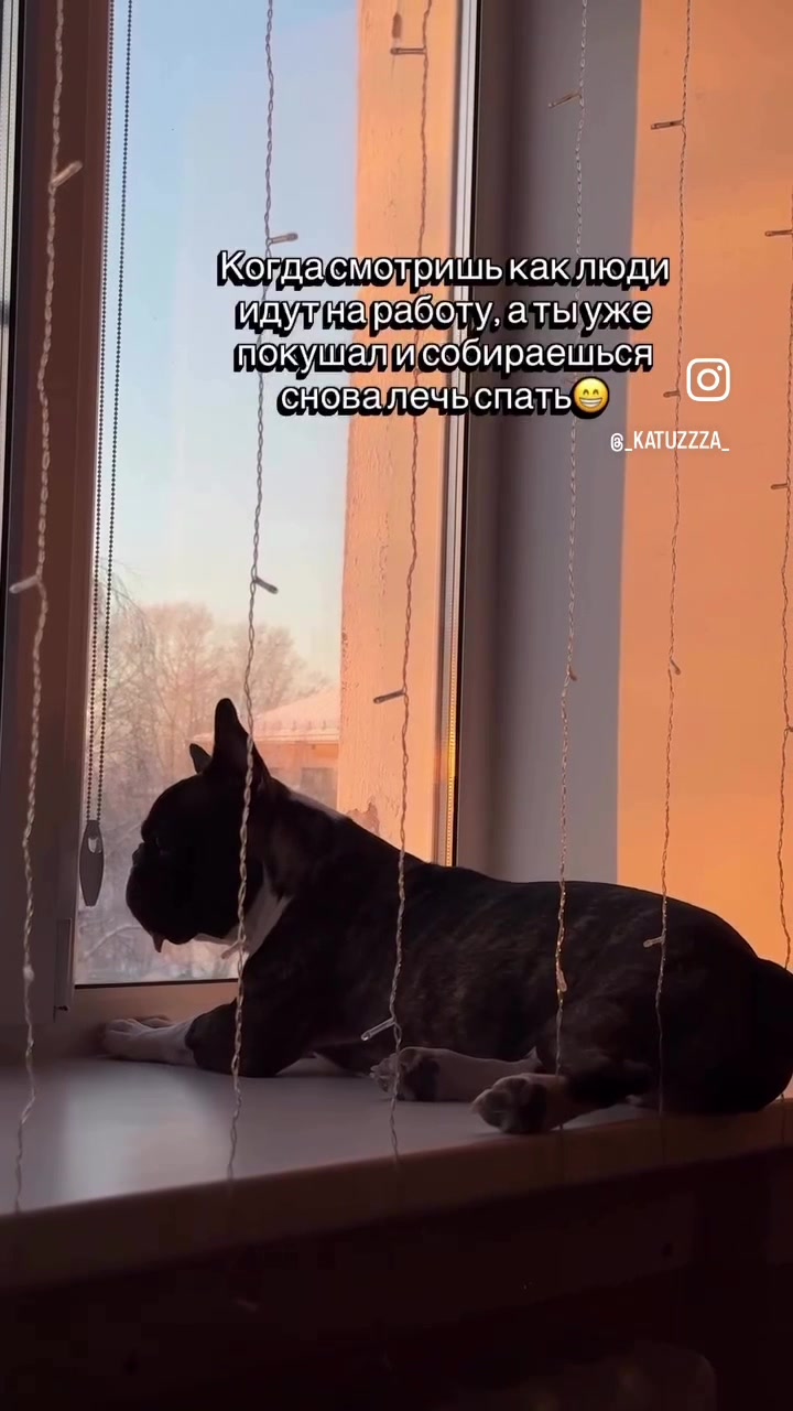 @кекс