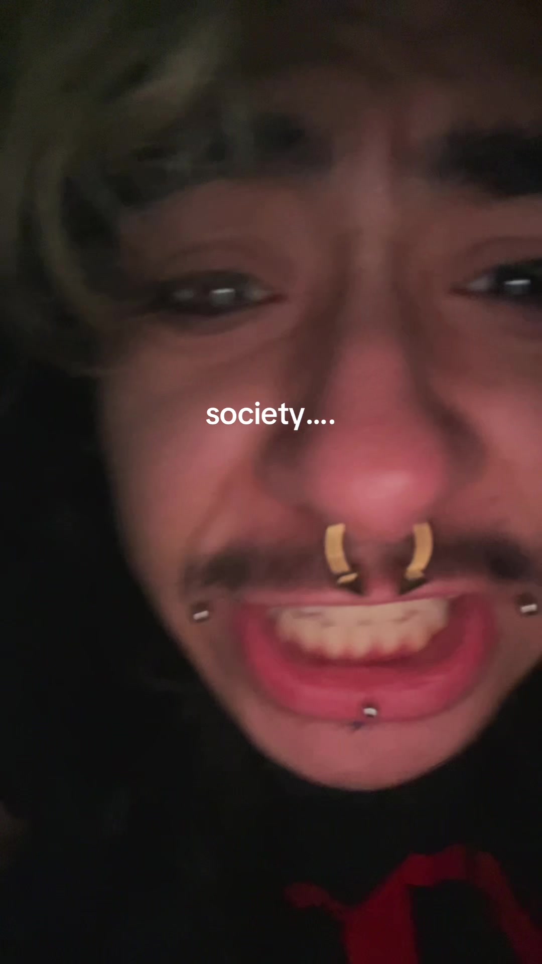 @anselll