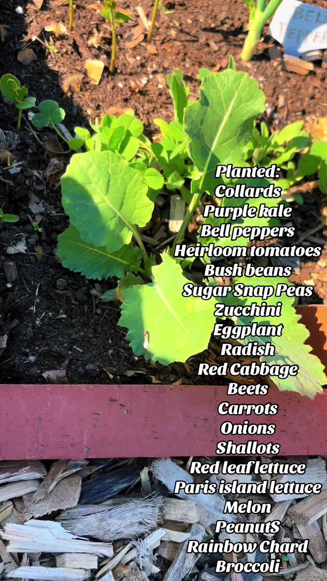 @greengirlgardens