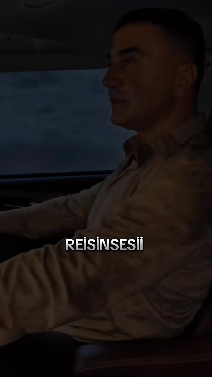 @reisinsesi