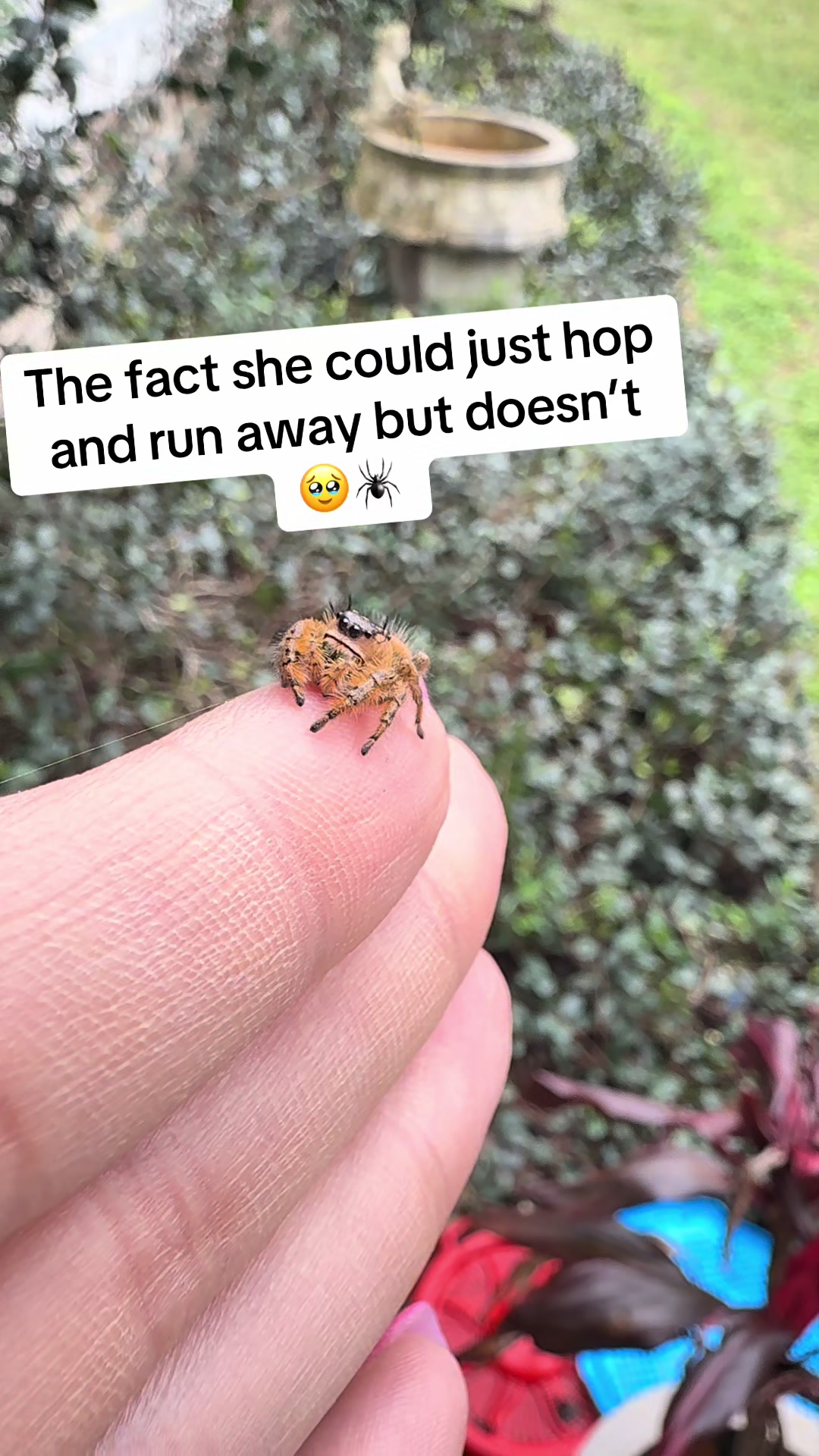 @Parker&rsquo;s Web