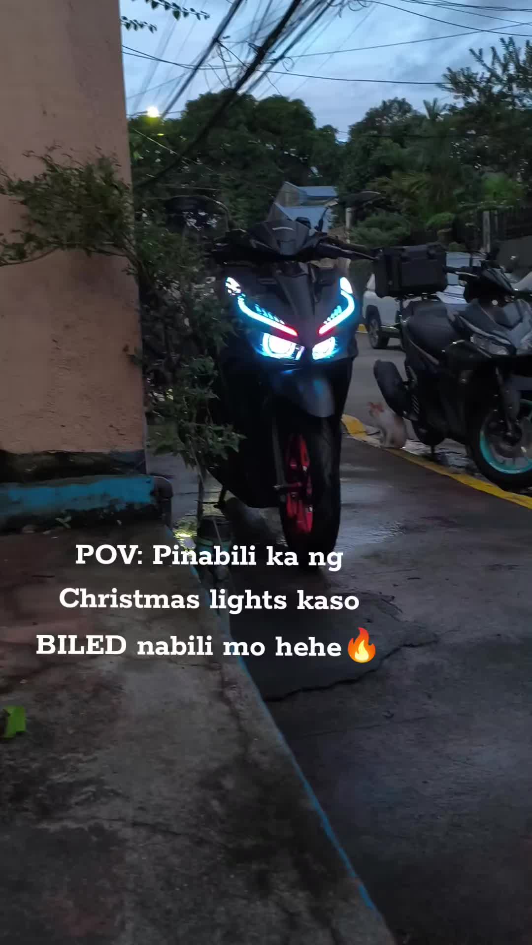 @VARIO SWABE