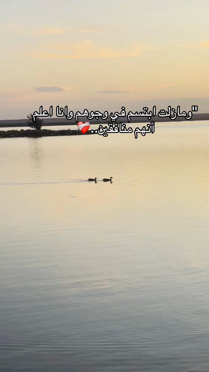@Le N 🦢