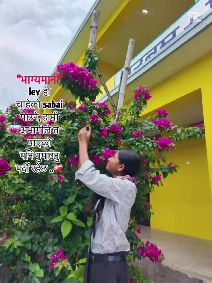 @Rejina Razwanc