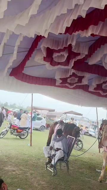@cH🎠imran Ali  Bhatti 🥷🏻🫂🤫