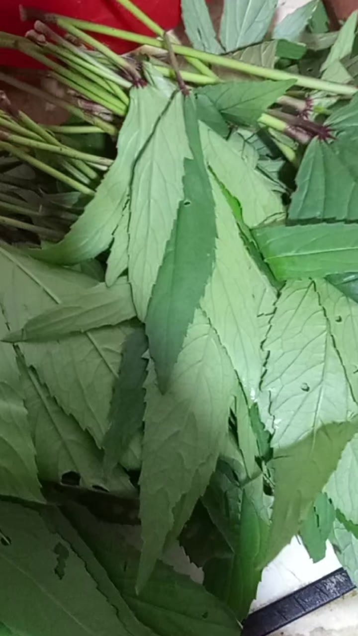 @JnudaAil🇸🇦🇸🇦