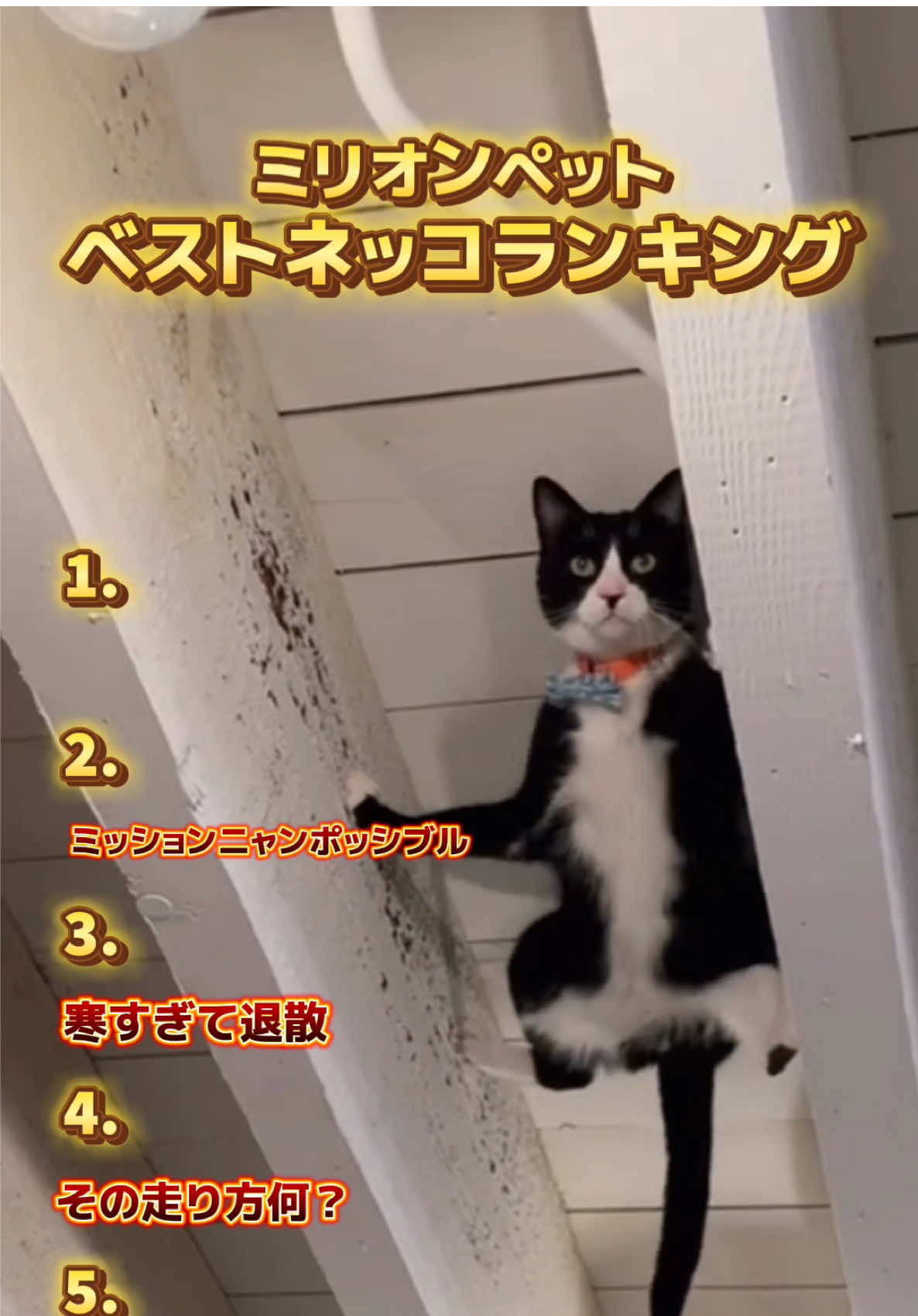 @ミリオンペット