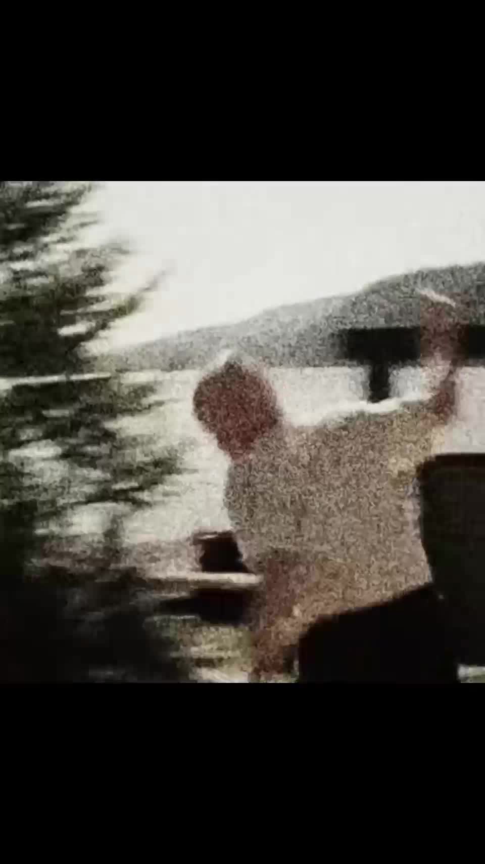 @𖣂︎𝕱𝖑𝖎𝖈𝖐𖣂︎