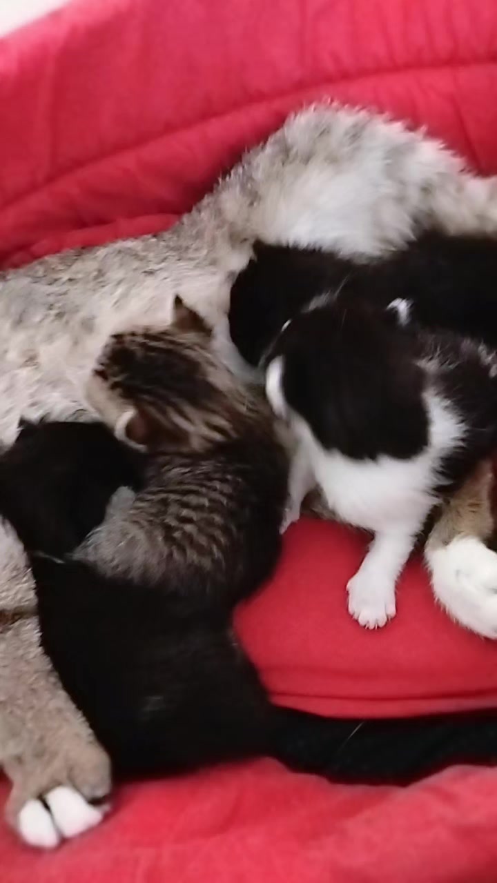 @Mavi Tektaş