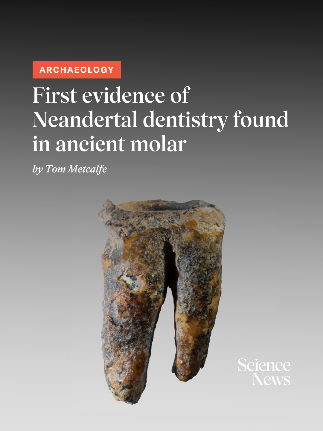 @Science News