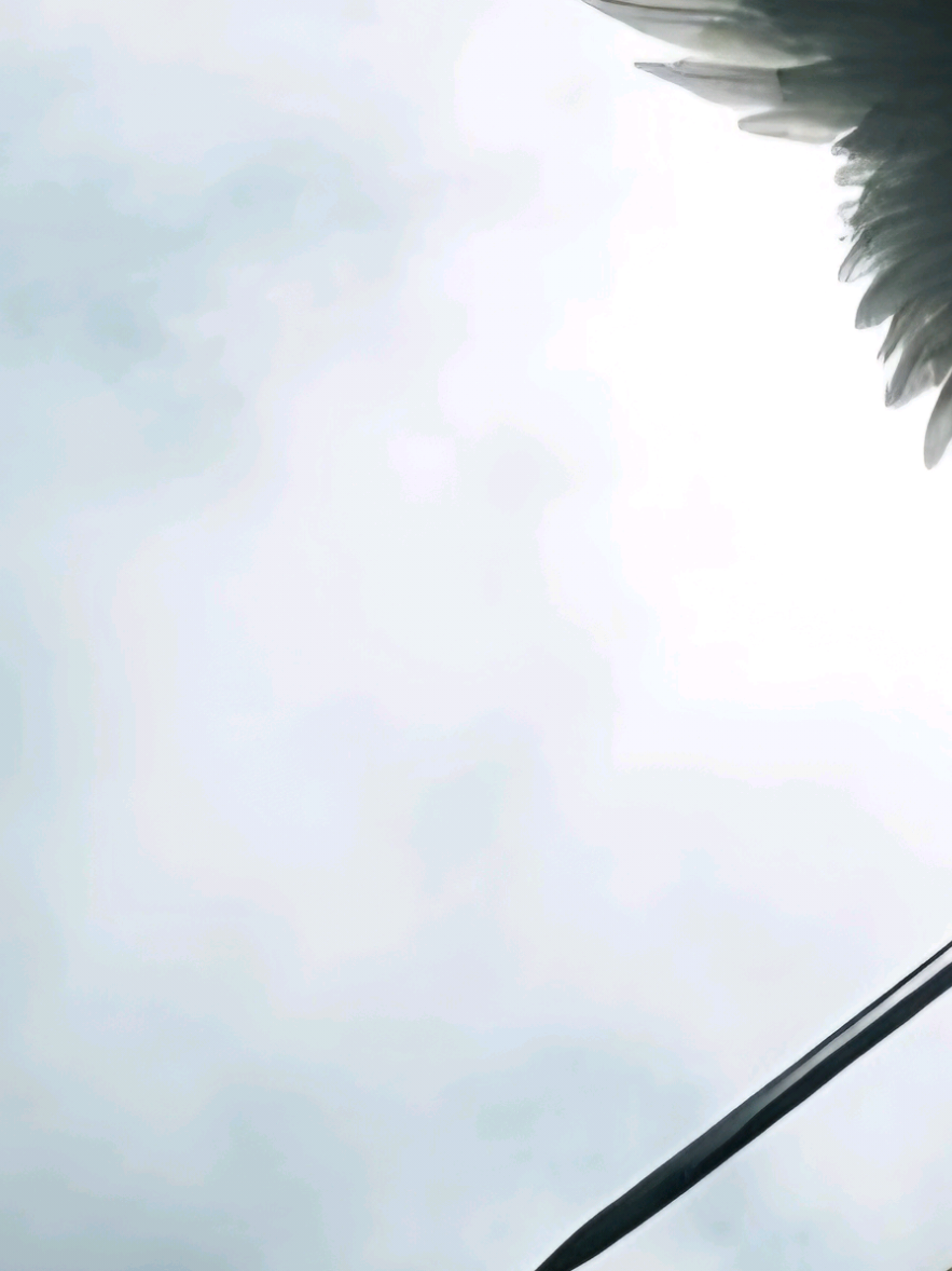 @๐๐๐๐ ๐ฏ๐ต