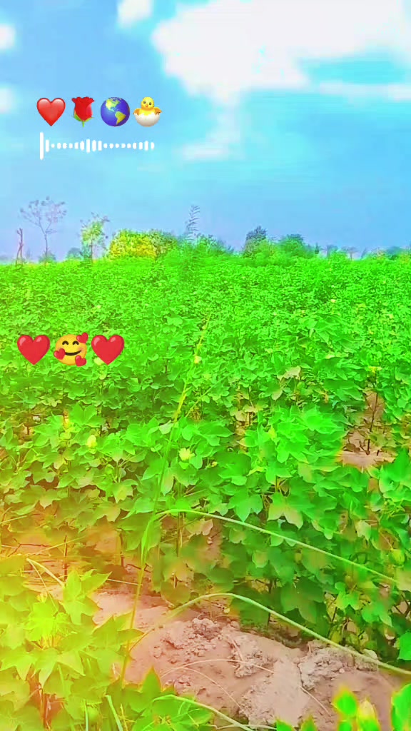@KHOMJI PARMAR 💞❤️💞