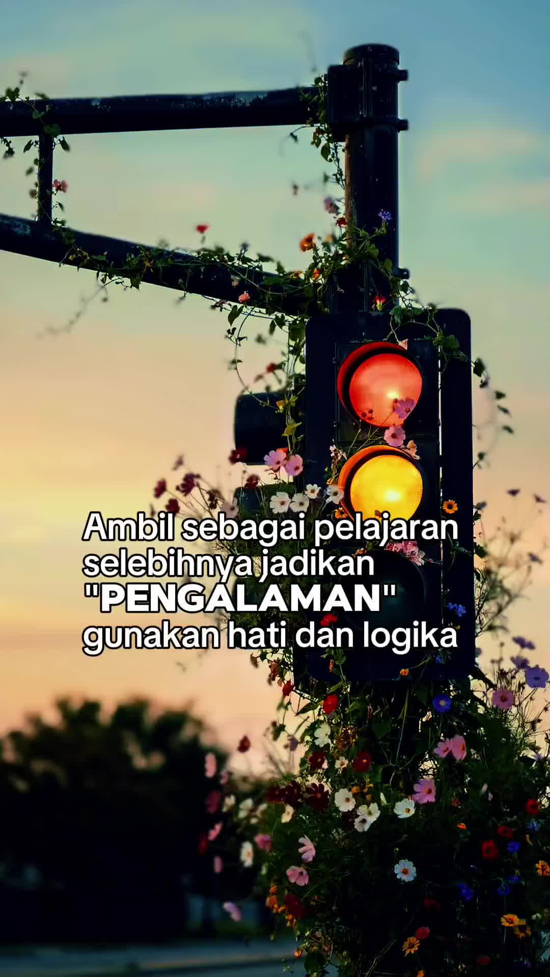 @shEdear🌸