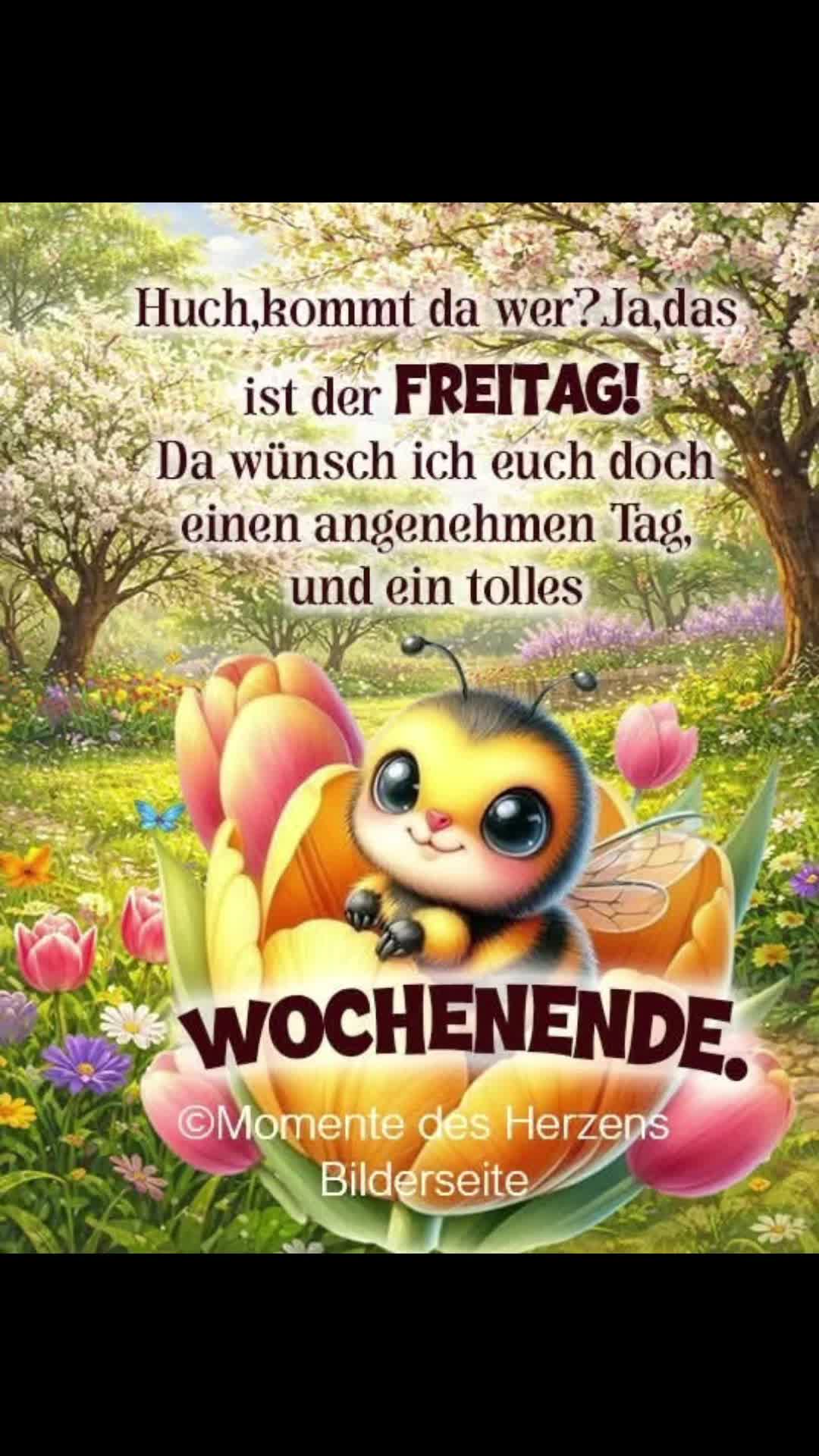 @dagmarschoondy