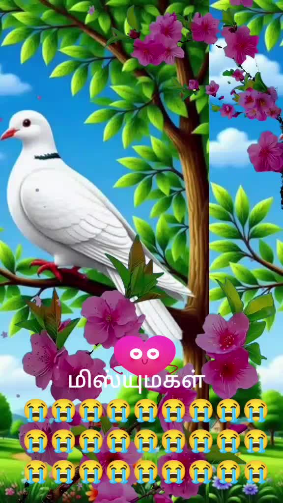 @Vasantha