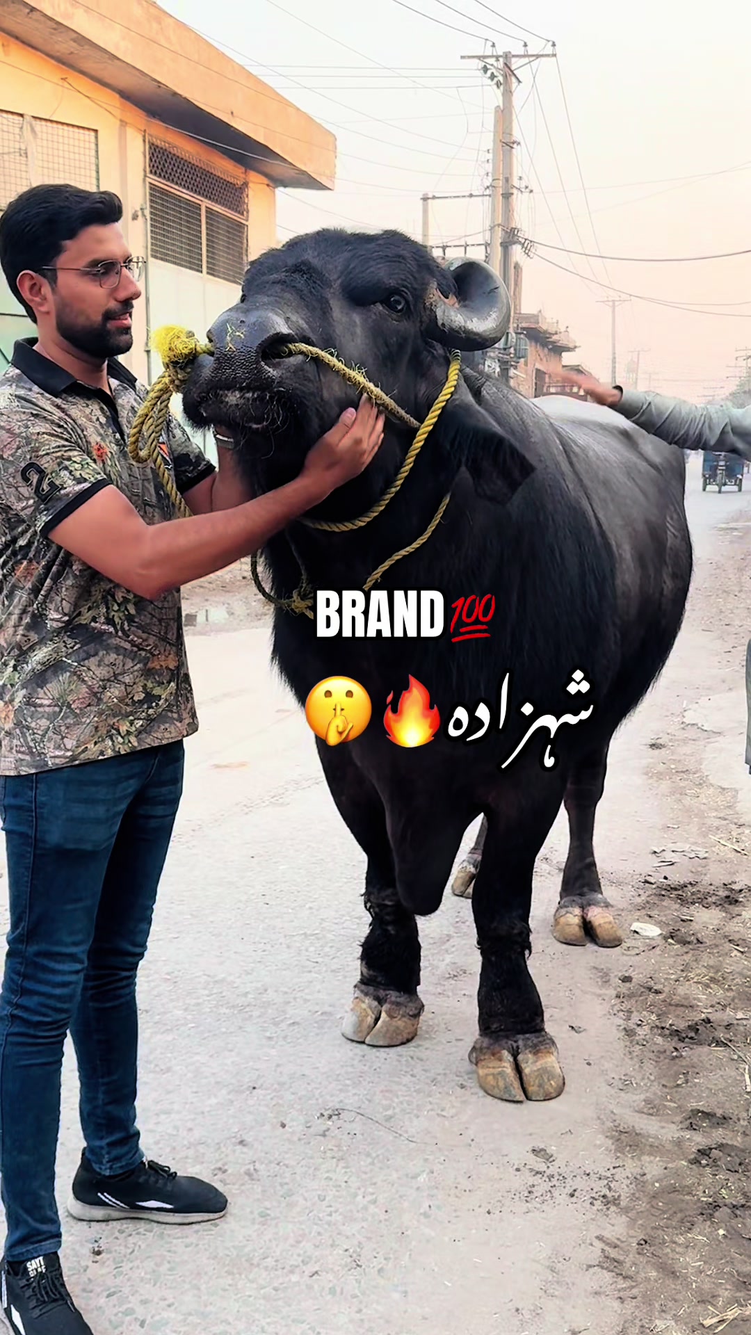 @UMAIR MUGHAL