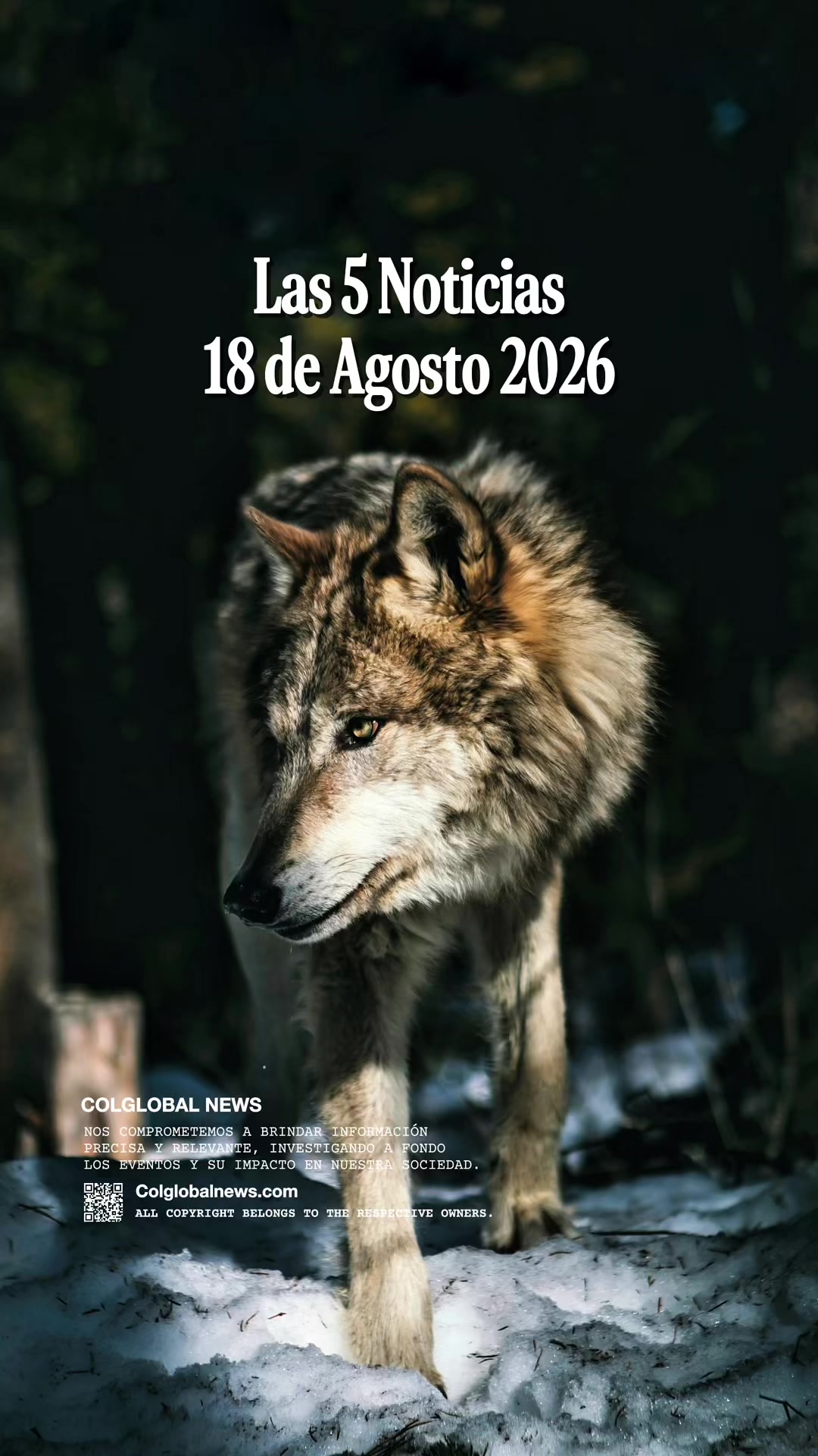 @Colglobal Noticias